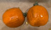 IMG_4441.jpeg
