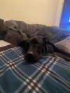 IMG_4810.jpeg