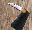 KIMG9700~2.JPG