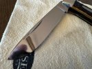 IMG_0262.jpeg