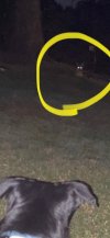 IMG_4859.jpeg