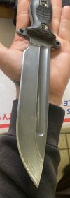IMG_0287.jpeg