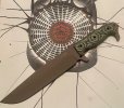 IMG_2006.jpeg