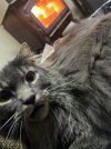IMG_9881.jpeg