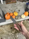 IMG_3318.jpeg