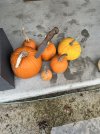 IMG_3319.jpeg