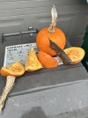 IMG_3320.jpeg
