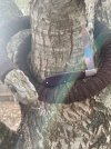 IMG_9177.jpeg