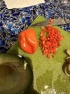 IMG_8299.jpeg