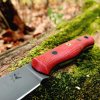 WolfPup15c.jpg