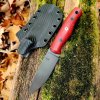 WolfPup15a.jpg