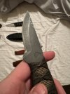 IMG_7686.jpeg