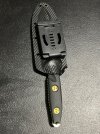 IMG_0081.jpeg