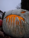 Halloween 24.jpg