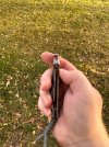 IMG_1382.jpeg