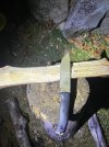 IMG_2817.jpeg