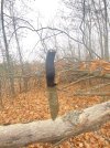 IMG_2823.jpeg