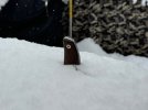 IMG_3775.jpeg