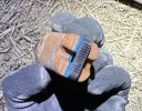 IMG_0313.jpeg