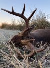 IMG_0985.jpeg