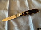 IMG_0345.jpeg