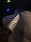 IMG_6328.jpeg