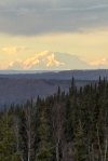IMG_1001.jpeg