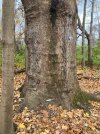 IMG_6351.jpeg