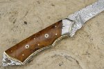 bgknife4488alt2.jpg
