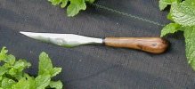 Marge'sWalnutKnife.jpg