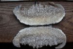HHH Knives handles for sale 074 (640x427).jpg