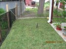 BK9 and New Grass 2.jpg
