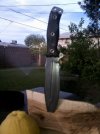IMAG0337.jpg