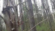 20140508_182612.jpg 20140508_182612.jpg