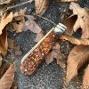 IMG_5684.jpeg