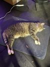 IMG_5390.jpeg