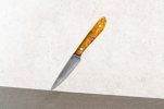 Paring Knife Single-Web Formatted.jpg