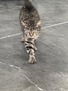 IMG_5729.jpeg