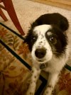 IMG_5736.jpeg