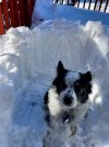 IMG_6090.jpeg