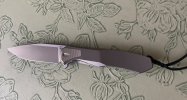IMG_8458.jpeg