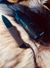 IMG_3895.jpeg