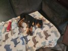 IMG_20241117_080002.jpg