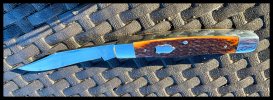 IMG_7281.jpeg