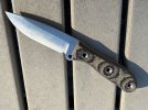 IMG_3619.jpeg