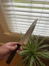 IMG_3991.jpeg