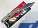 Spydie2.jpeg