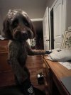 IMG_5760.jpeg