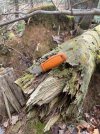 IMG_8655.jpeg