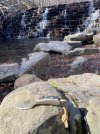 IMG_8522.jpeg
